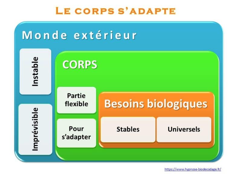 Therapie-breve-06-somatisation